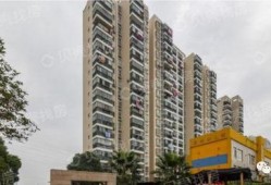 武汉小区最新爆料,揭秘神秘事件背后的真相